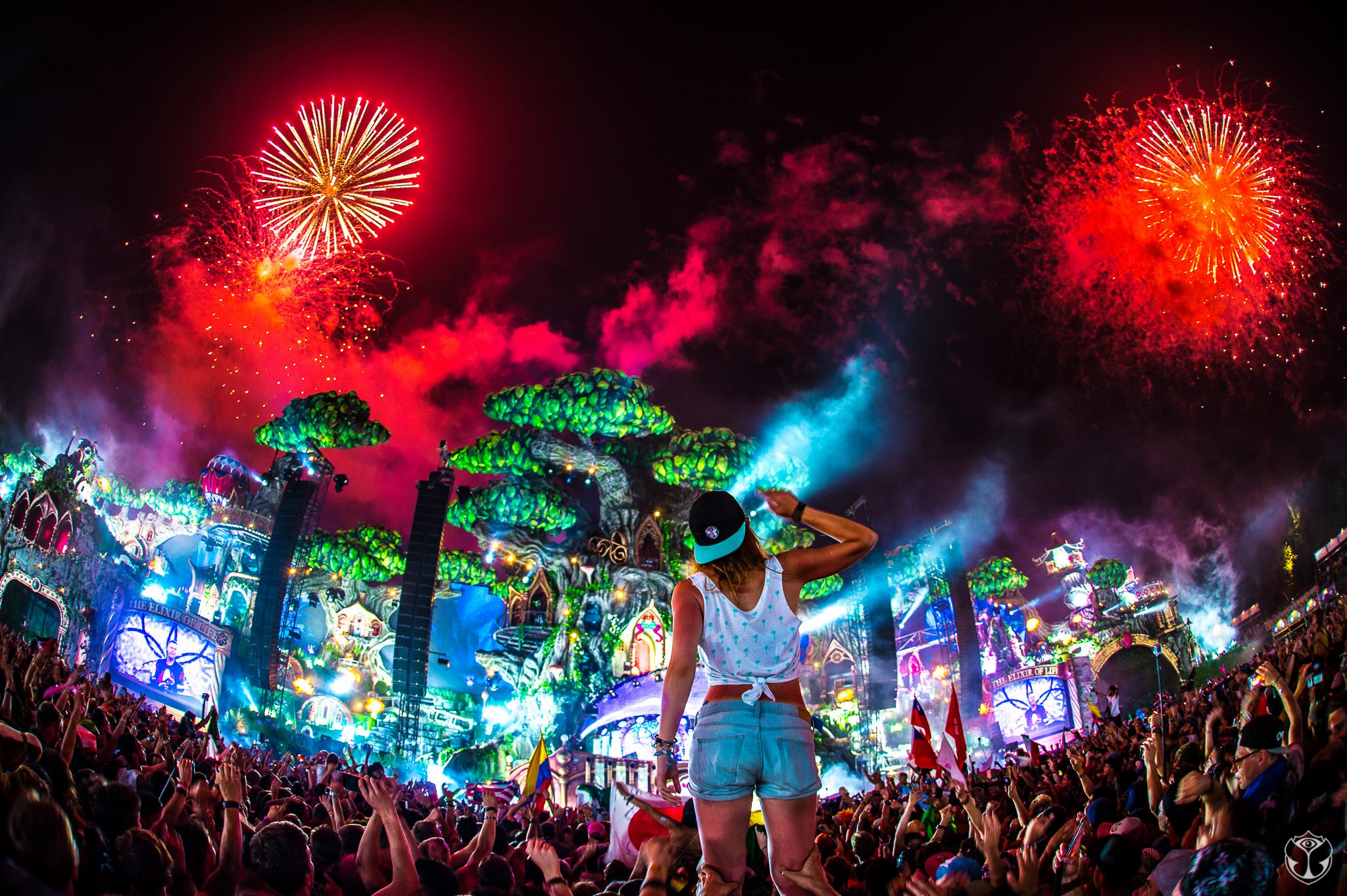 Ou a Todos Os Sets Do Tomorrowland 2016 Wonderland In Rave